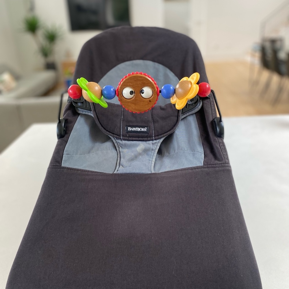 Baby Bjorn toy bar